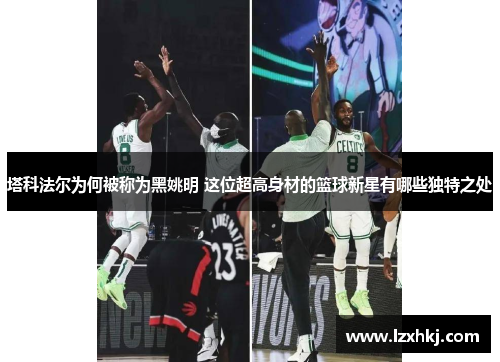 塔科法尔为何被称为黑姚明 这位超高身材的篮球新星有哪些独特之处