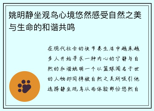 姚明静坐观鸟心境悠然感受自然之美与生命的和谐共鸣